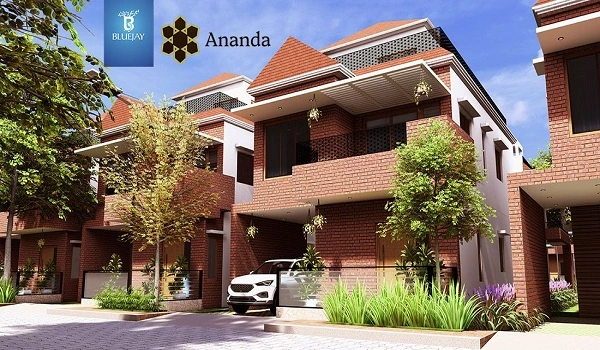 Bluejay Ananda Featured image of Bluejay Ananda