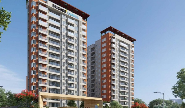 Brigade Laguna Featured image of Brigade Laguna